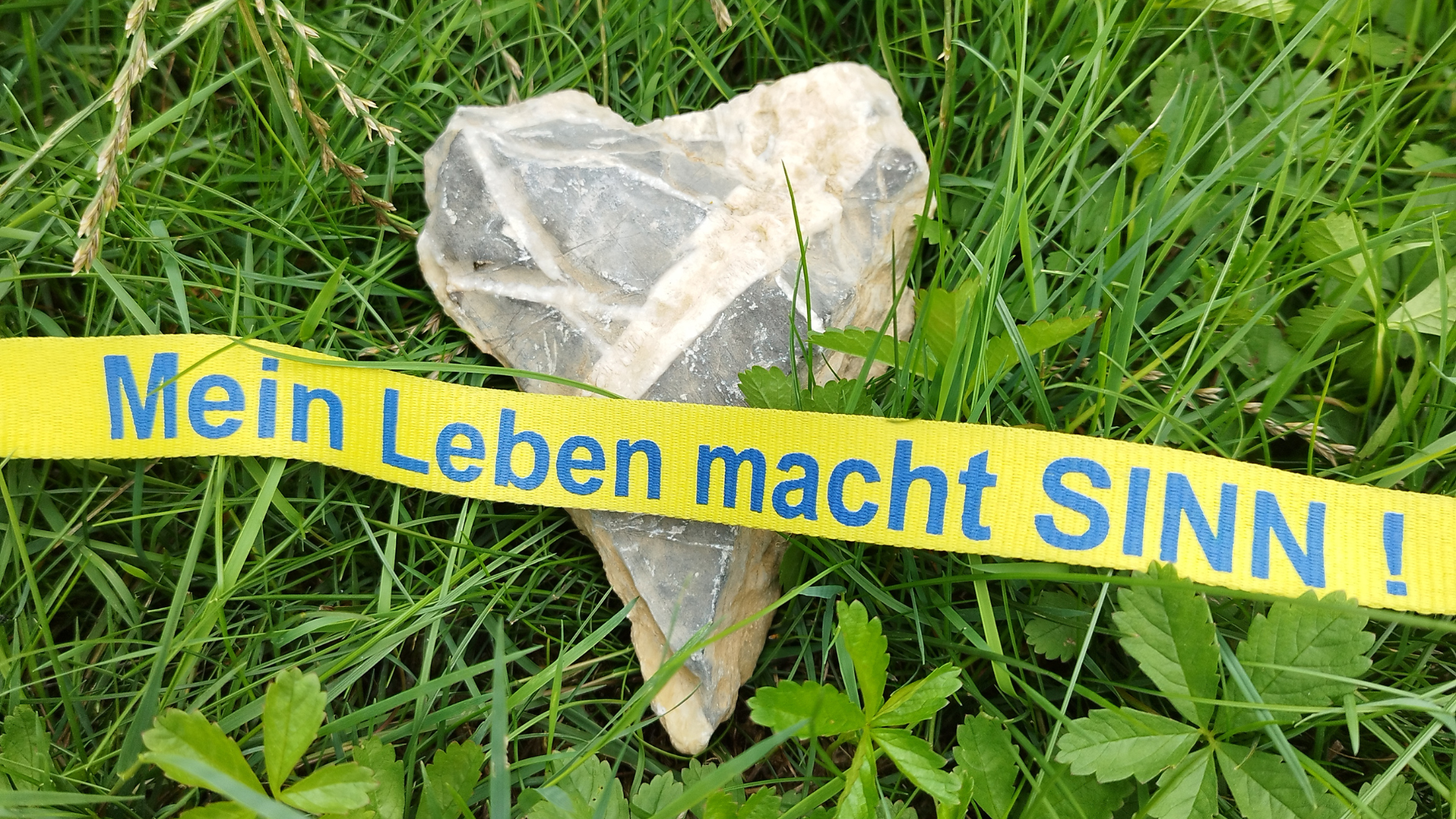Akademie EiGEN-SiNN